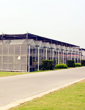 广西花卉养殖基地